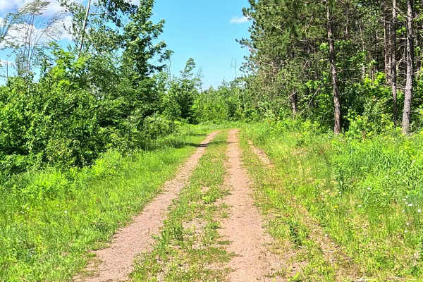 L'Anse Reservation Spur