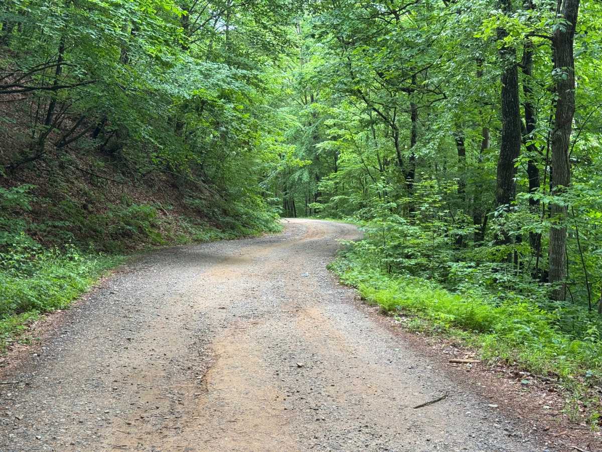 Cavender Gap - CR 163 photo 5