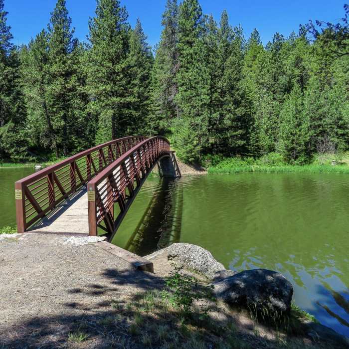 Near Lakeshore Trail: East