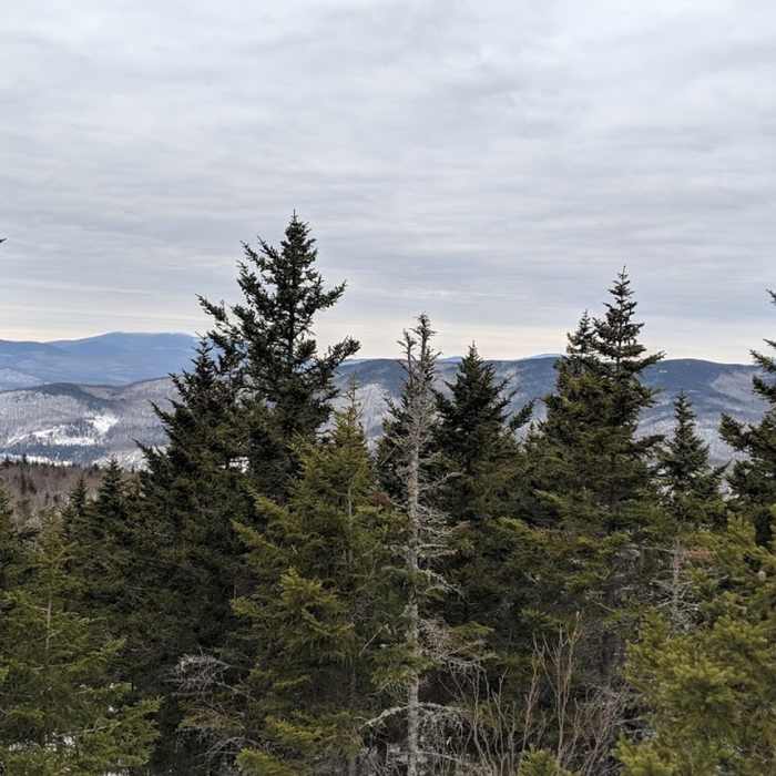 Near Mount Morgan Trail