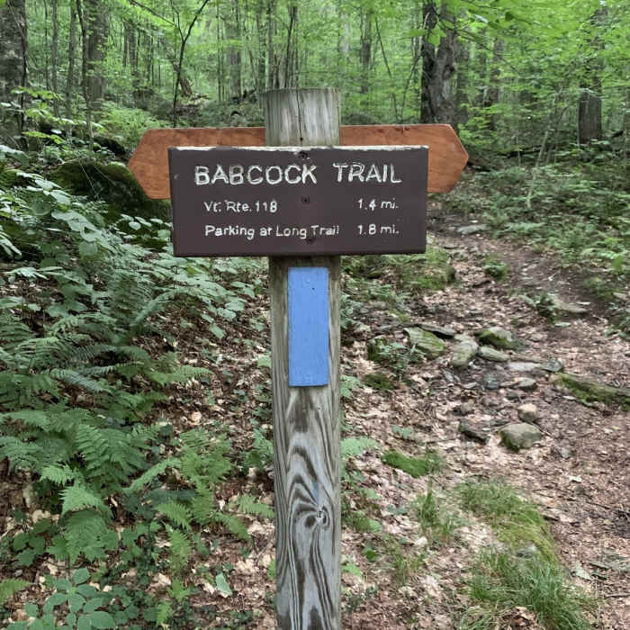 Trail sign at southern junction of Babcock Trail & Long Trail near Devil's Gulch. Near Babcock Trail