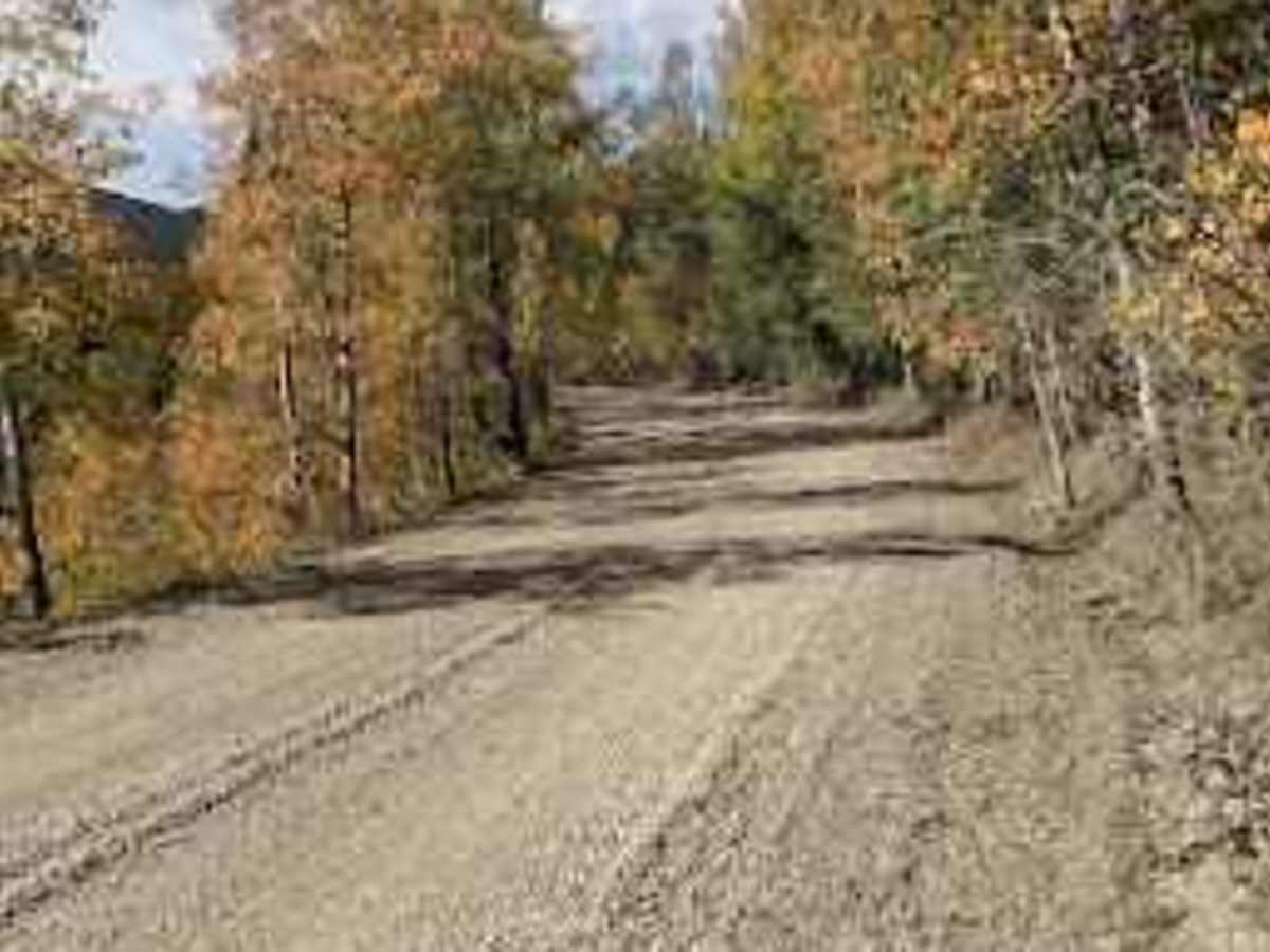 Dutch Creek Road  photo 3