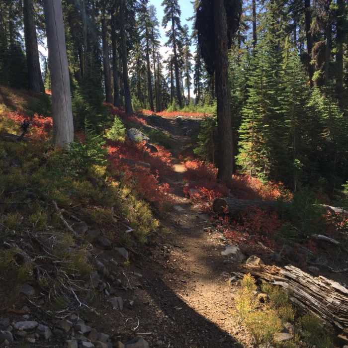 Near Pacific Crest Trail: Oregon Section C - Highway 140 to Highway 138