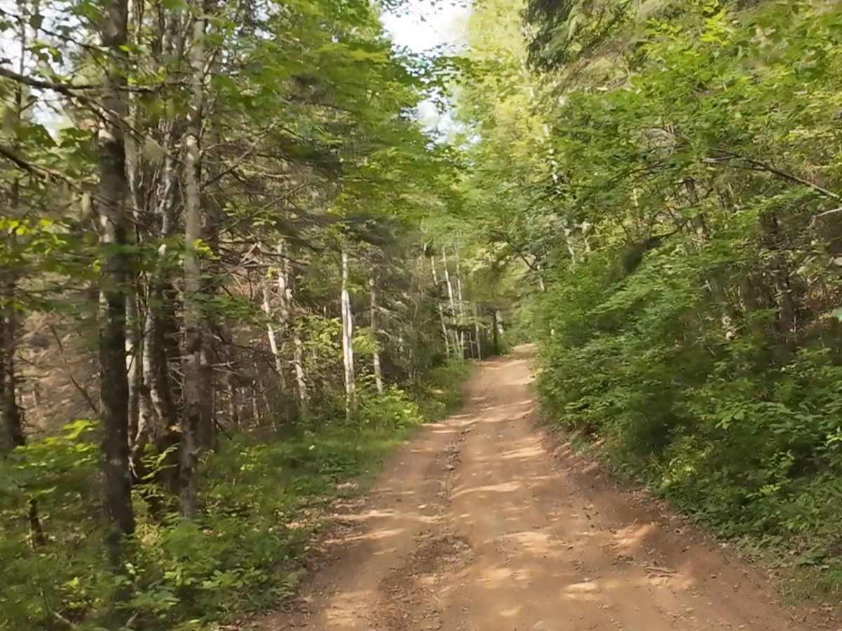 Sweet Mountain photo 4