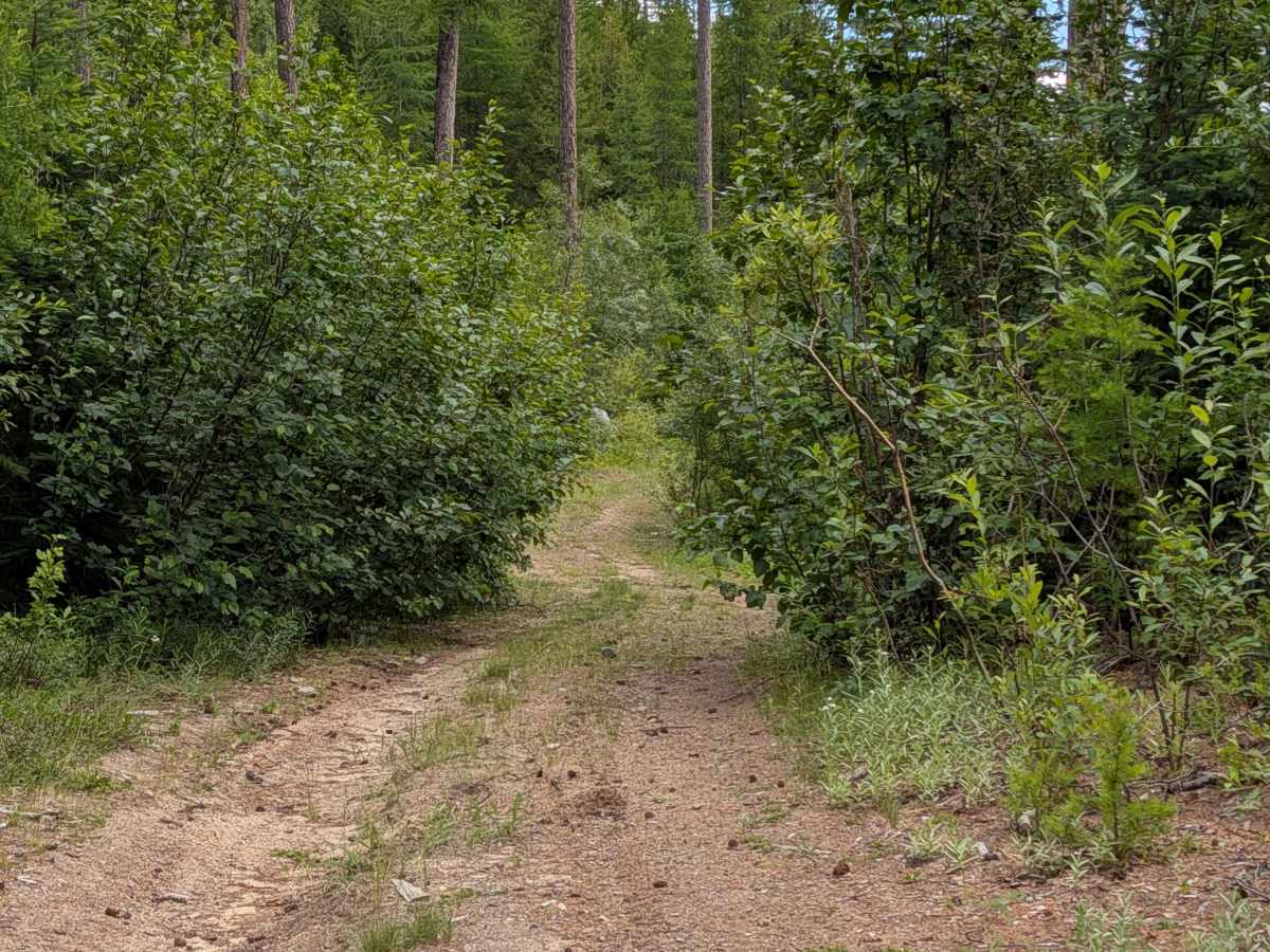 FS 3700-400 trail photo