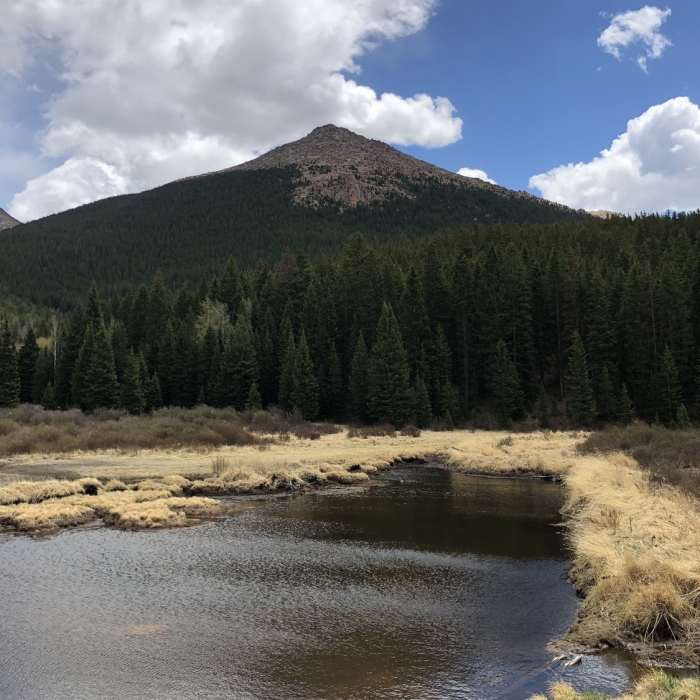 Near Horsethief Park Trail (#704.C)