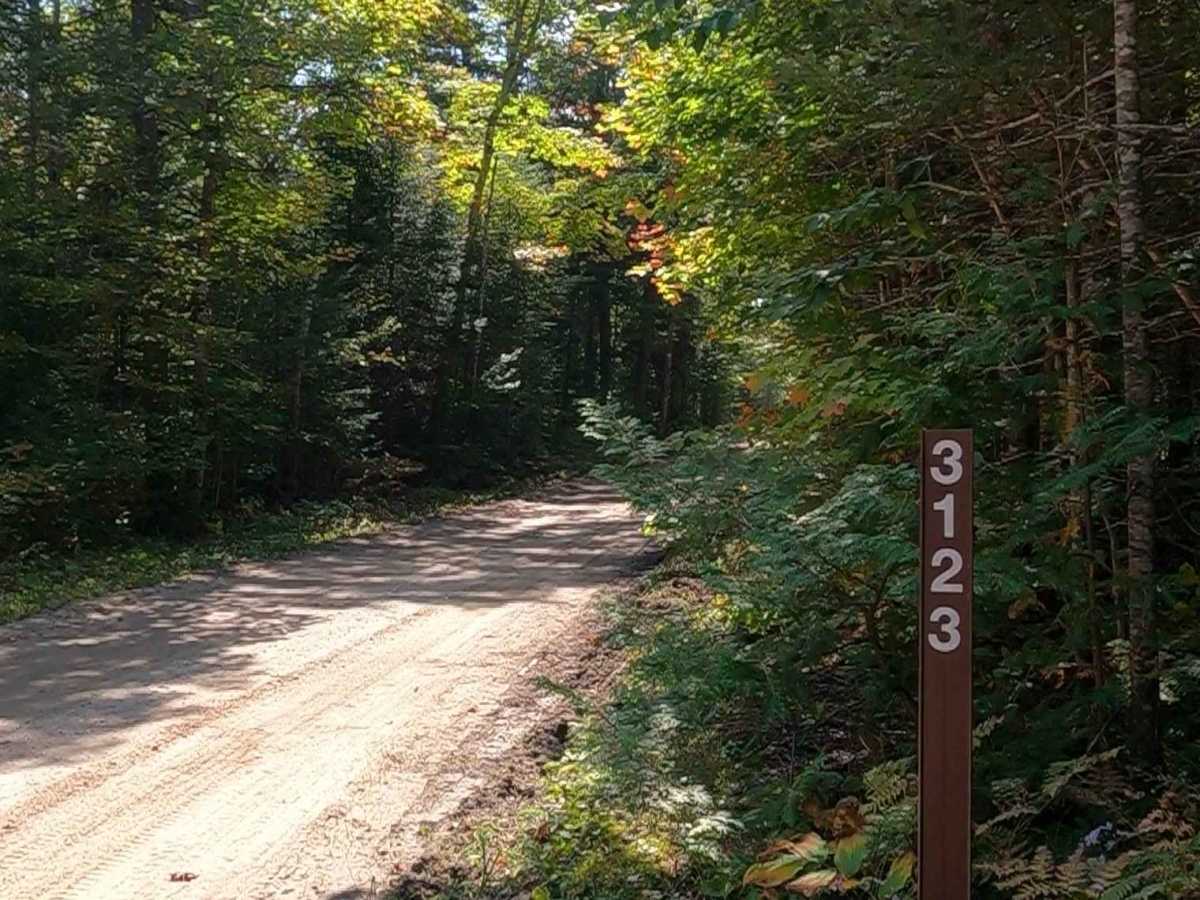 Quarry Road - FS 3123  trail photo