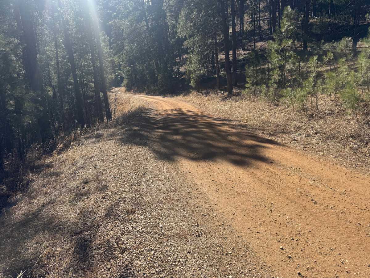 Lost Gulch - FS 172.1 photo 6
