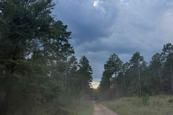 Boyette