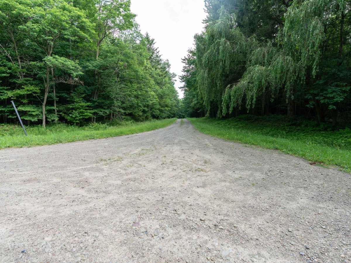 Left Fork Truck Trail photo 2