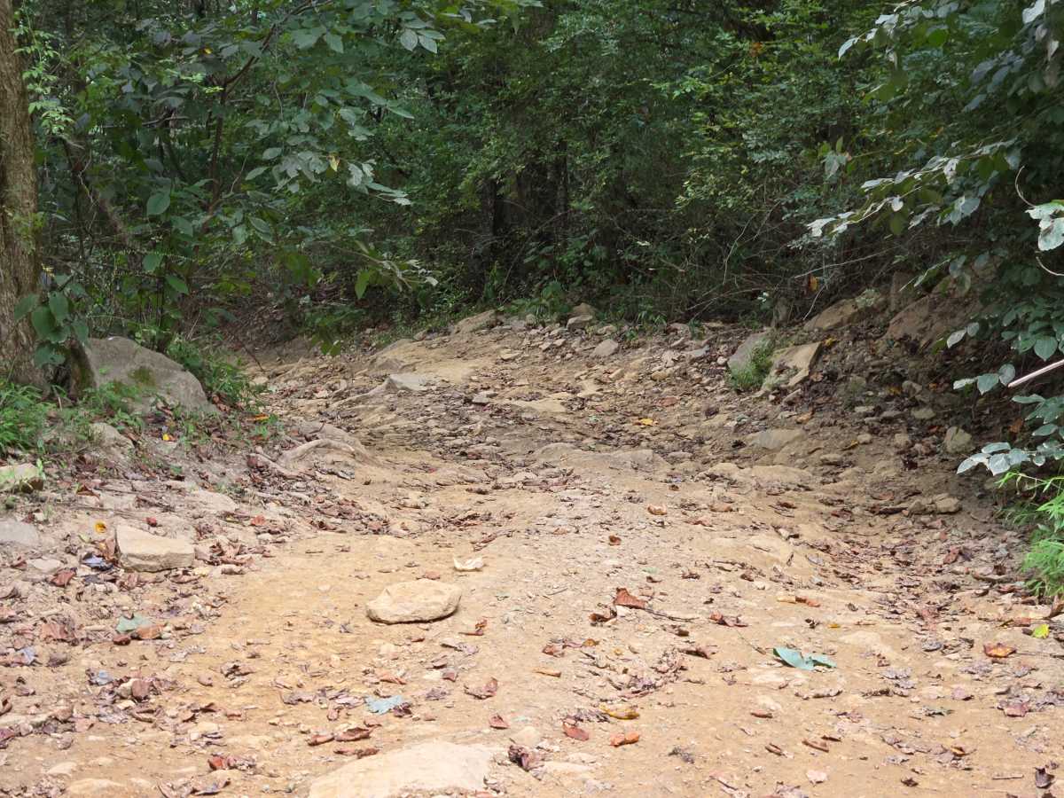 Trail 22 photo 2