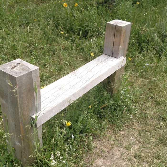 Near Livingston Peak