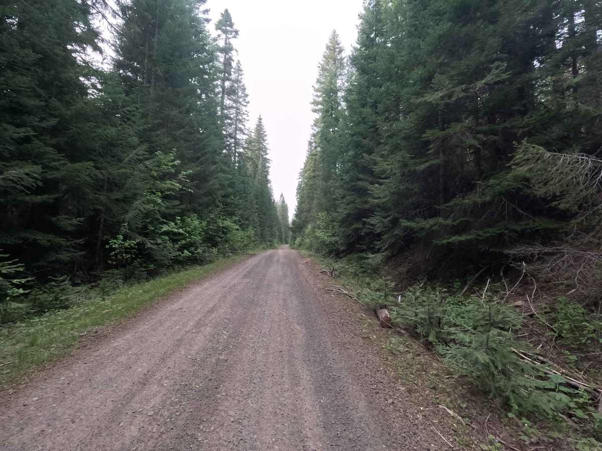 Ruckel Road - FS 32 photo 3
