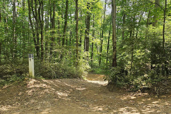 Trail 26