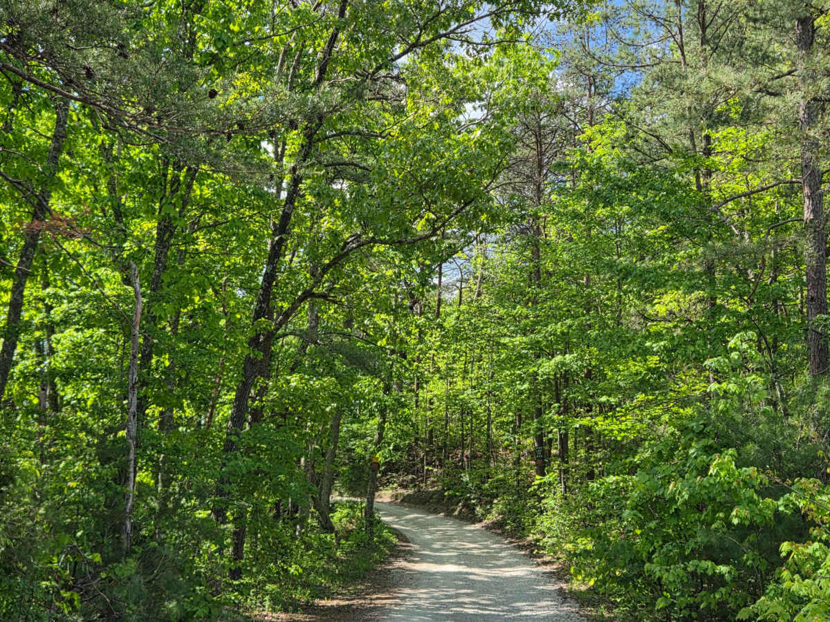 Indian Valley/Arrowhead Trace photo 4