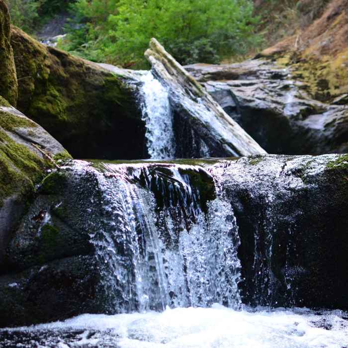 Punch Bowl Falls Near Sweet Creek Trail #1319