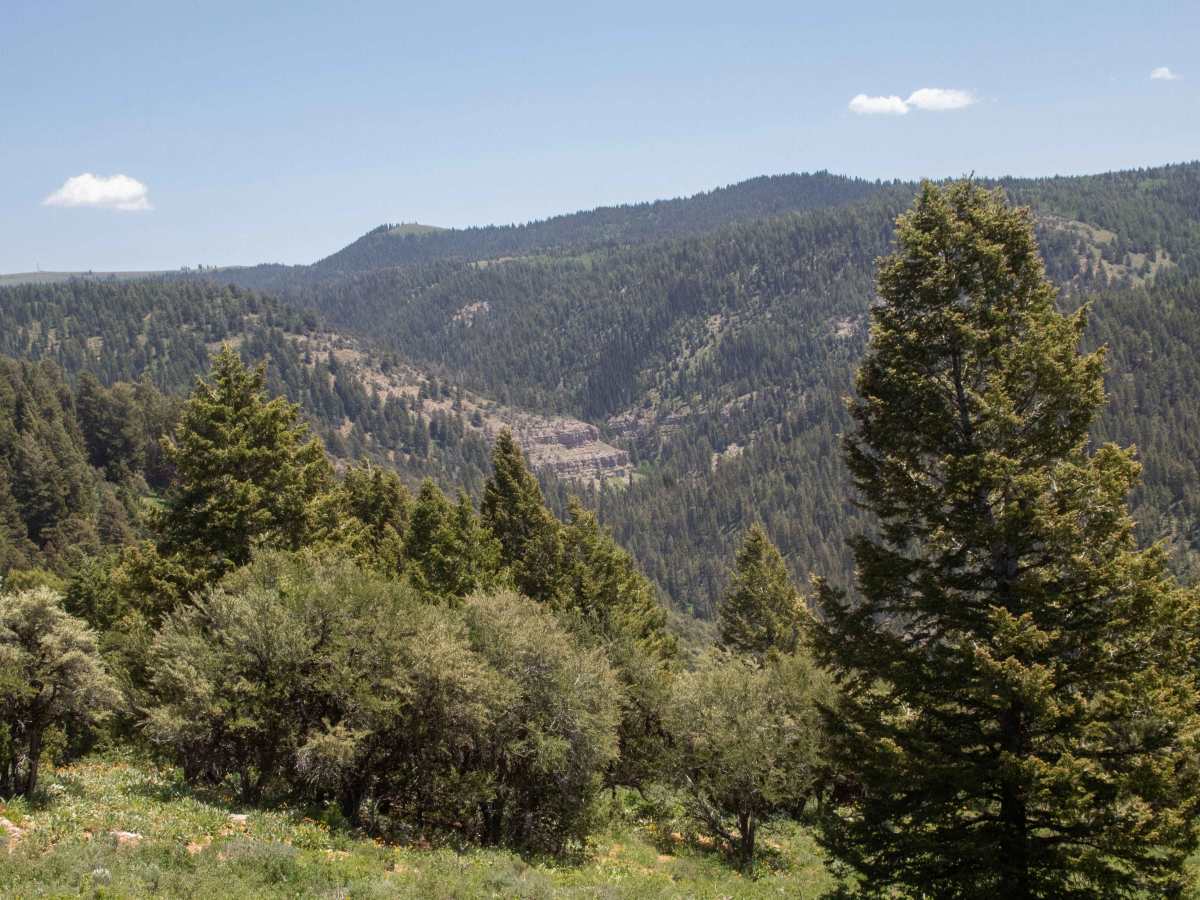 Baxter Ridge Road trail photo