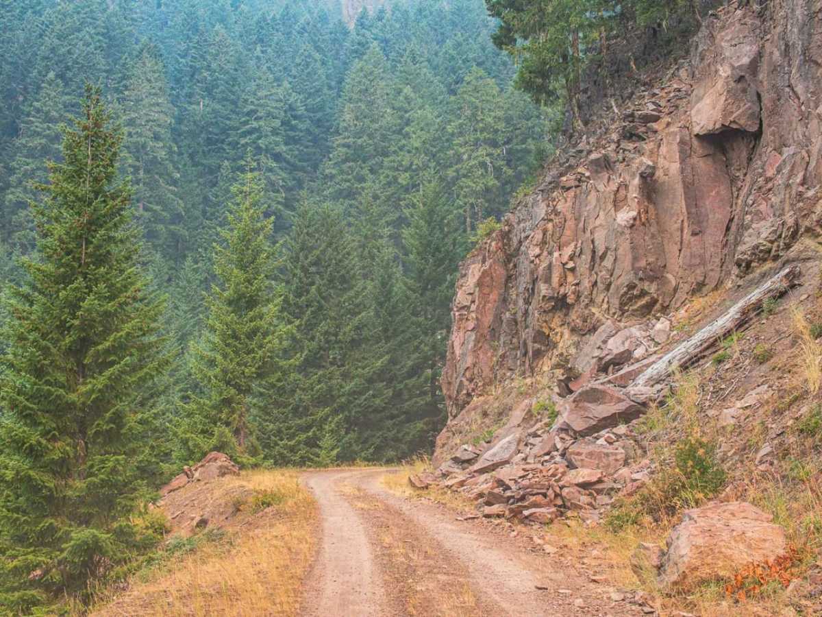 Trapper Creek photo 6