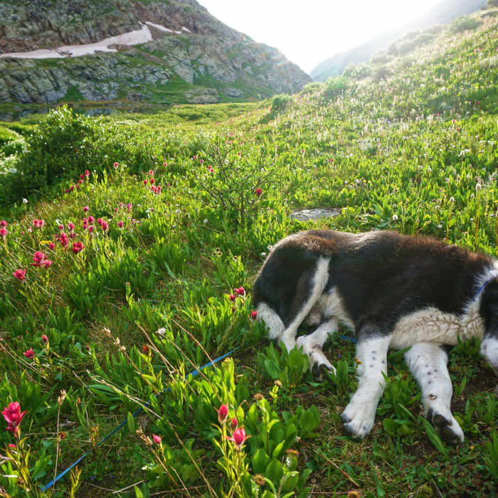 Near Trinity and Silex Lake Route