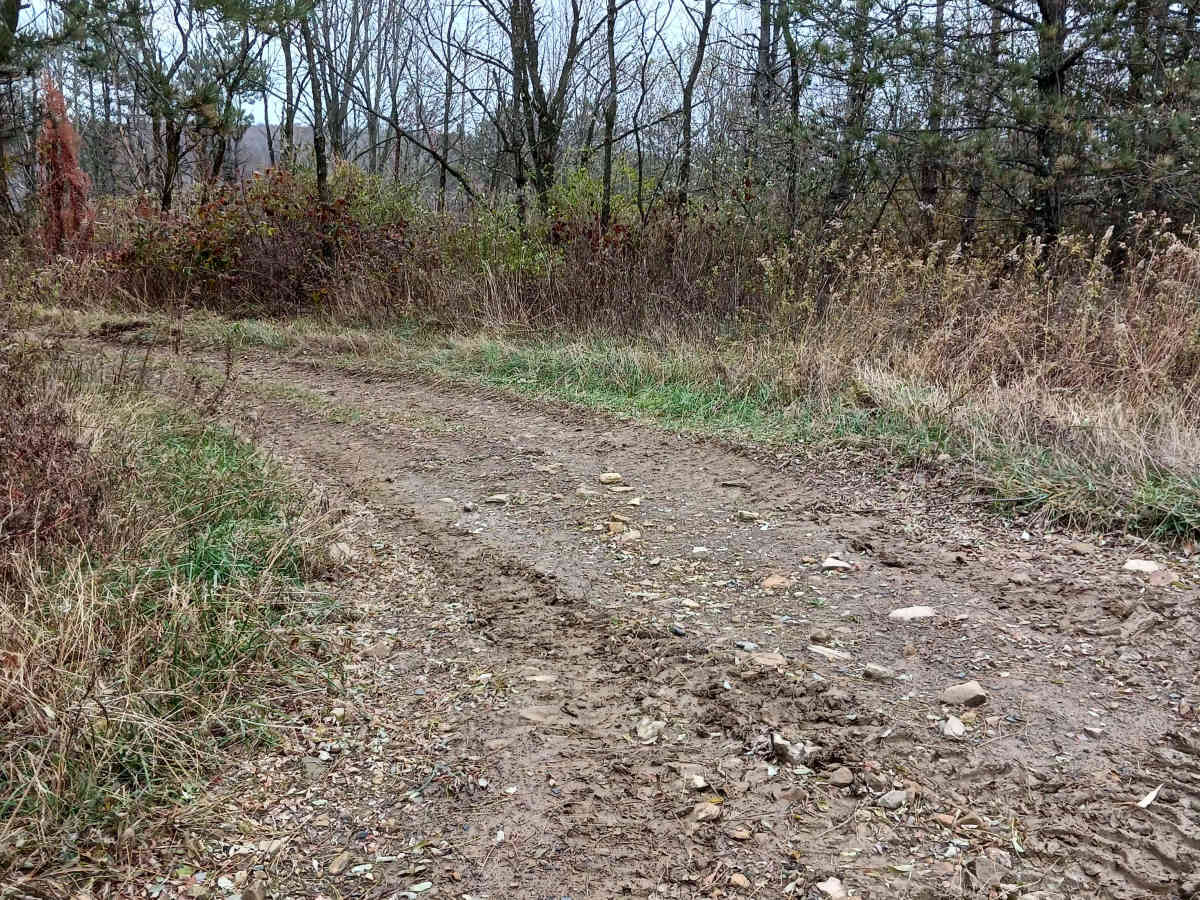Trail 11 - Rock Run Recreation Area photo 2