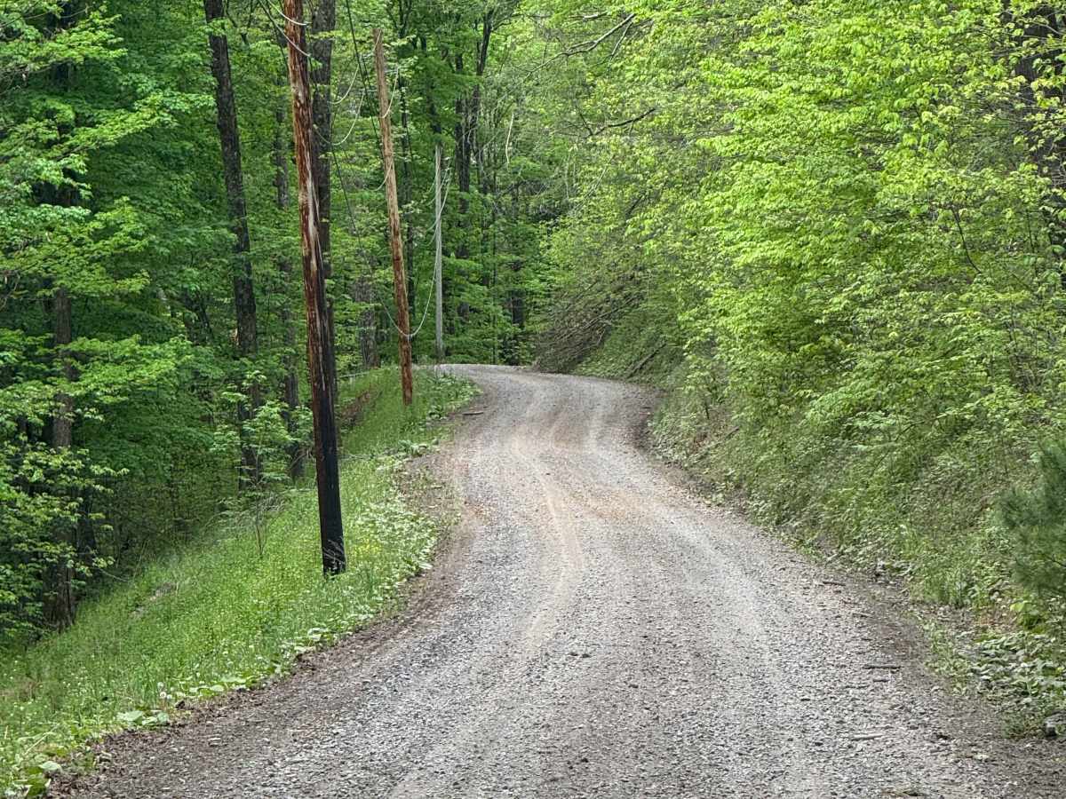 Osborne Road photo 6