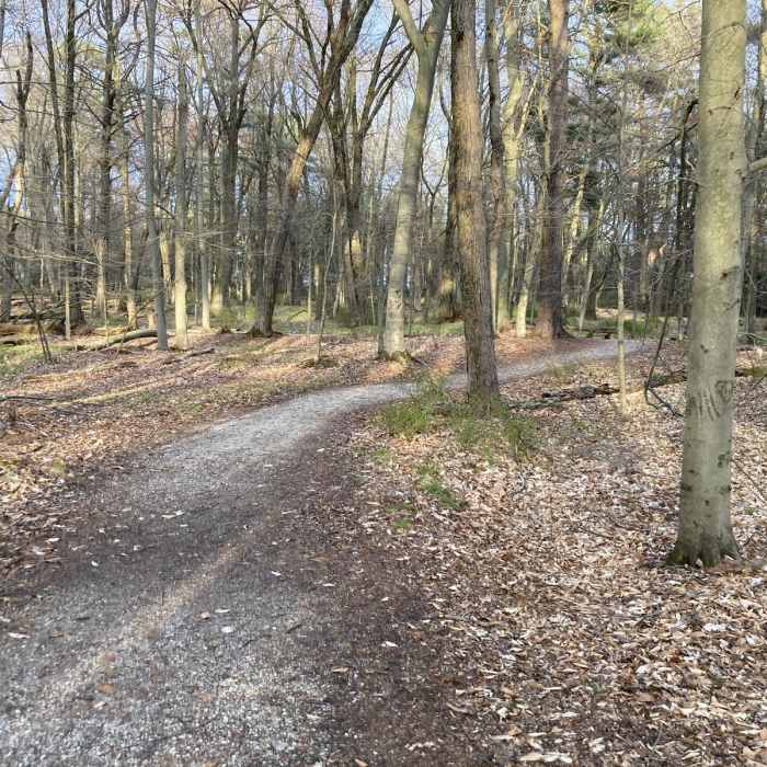 Near Woodland Dunes Trail Near Woodland Dunes Trail