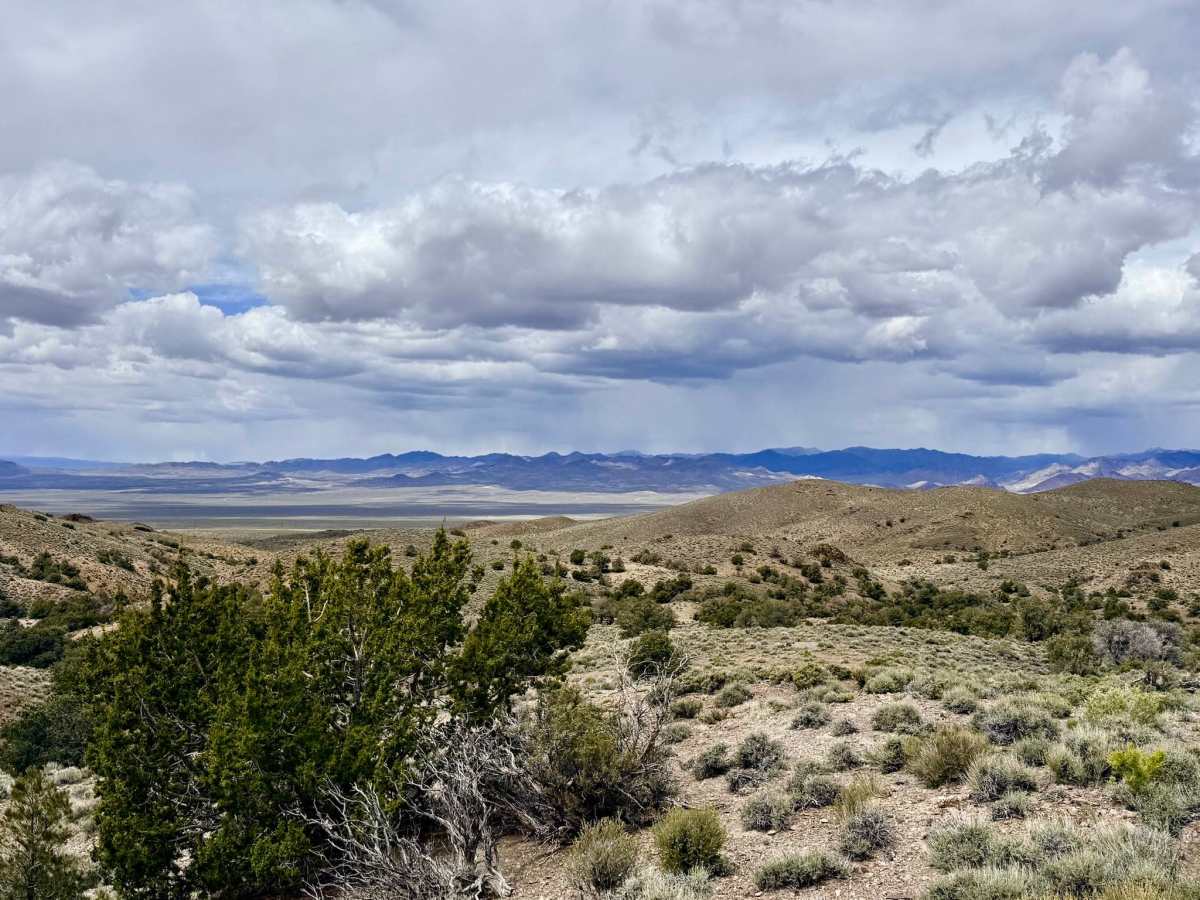 Willow Spring Cutoff - FS 44525 photo 5