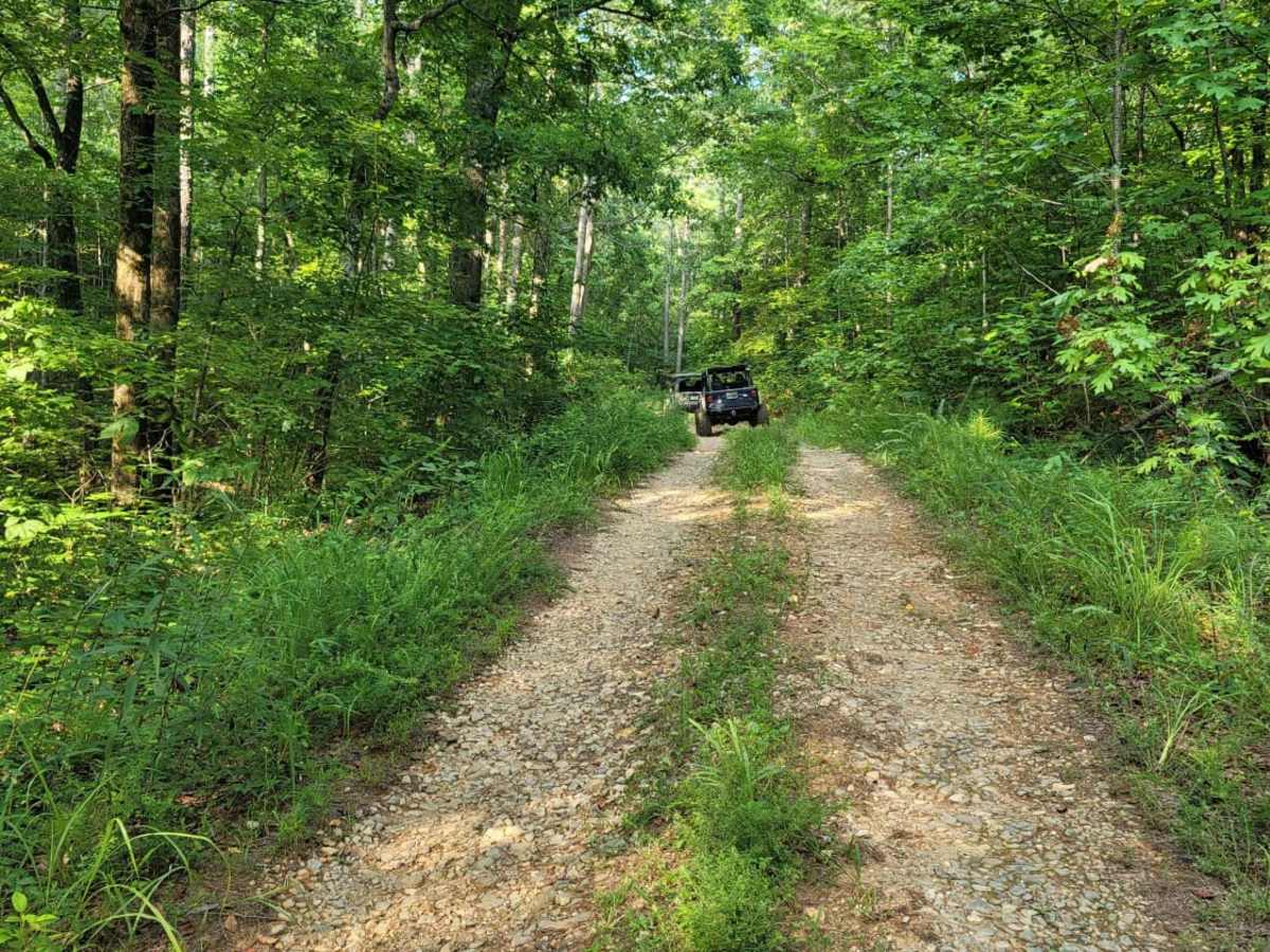 USFSR #515 Watts Mountainway East photo 6