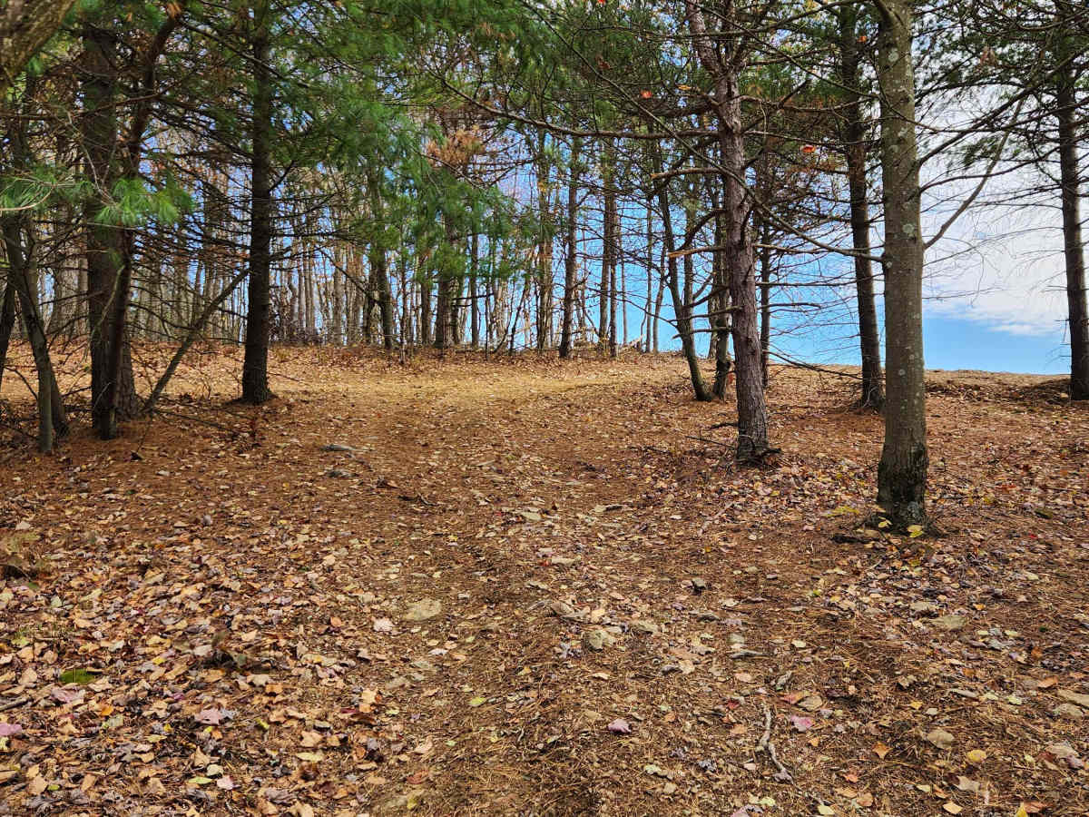 OHV 5R - Rock Run Recreation Area photo 2