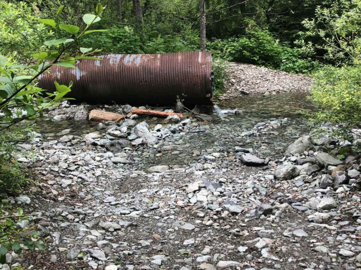 Mine Creek Rd photo 4