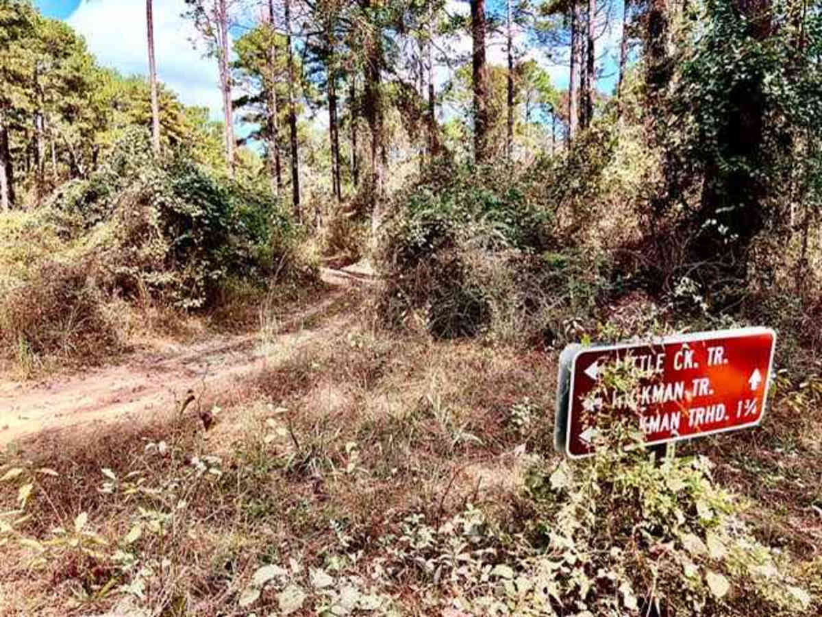Hickman Trail photo 6
