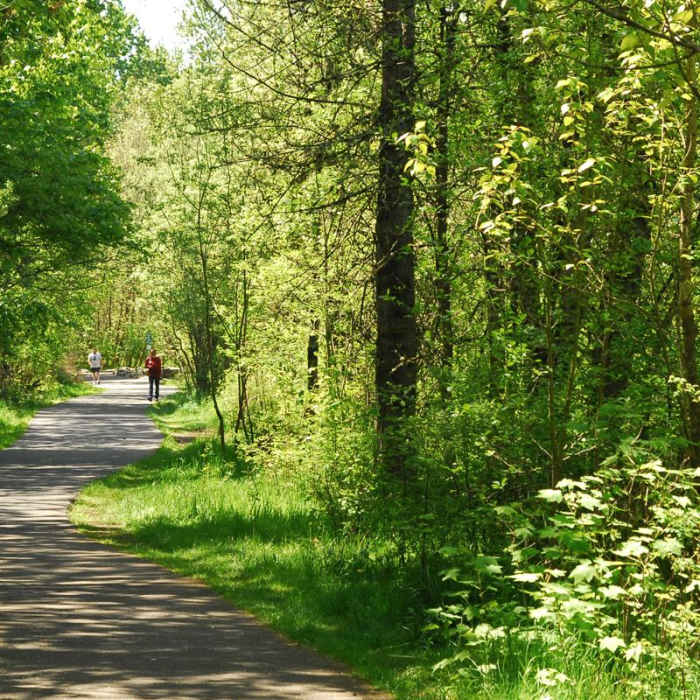 Near Oaks Bottom Hiking Trails