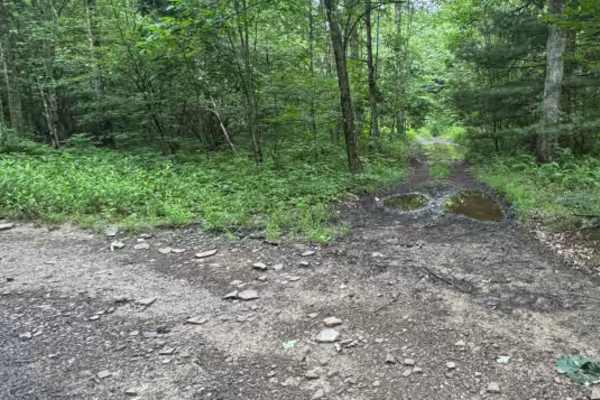 Trail 5