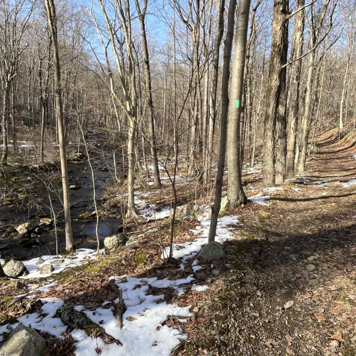 Near Righter Mine Loop Near Righter Mine Loop