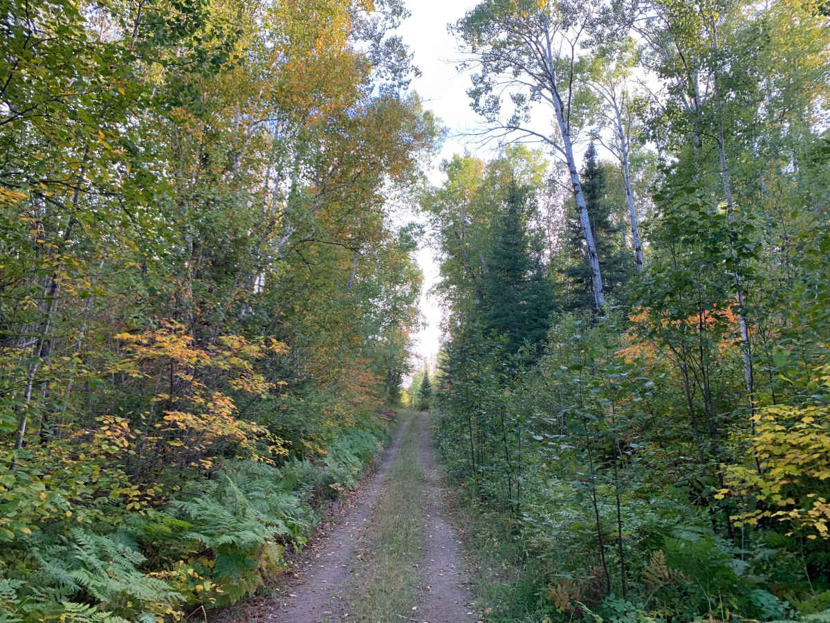 Frank Lake Trail - FS 1885 photo 3