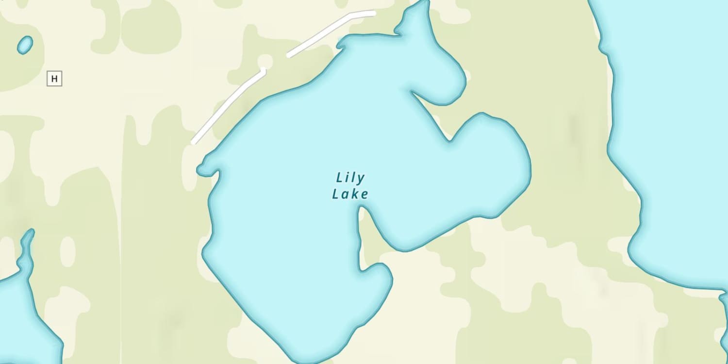 Lily Lake