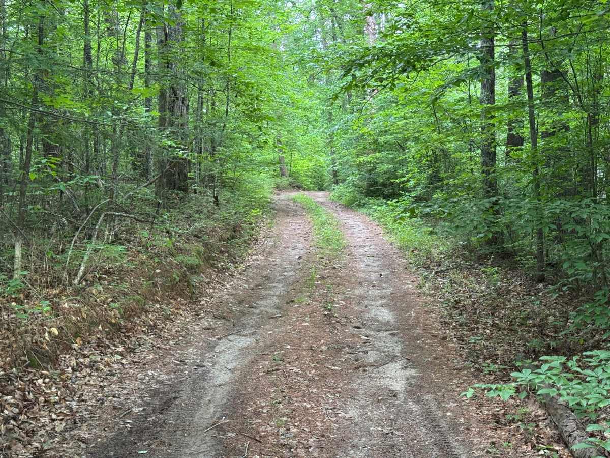 Butler Ridge - FS 1061 photo 4