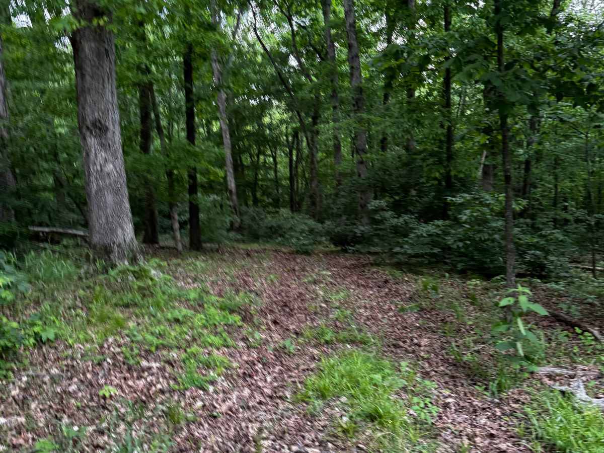 Hillside Climb photo 3