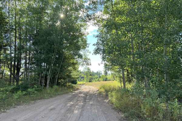 Route FIR - Forest Road 13042