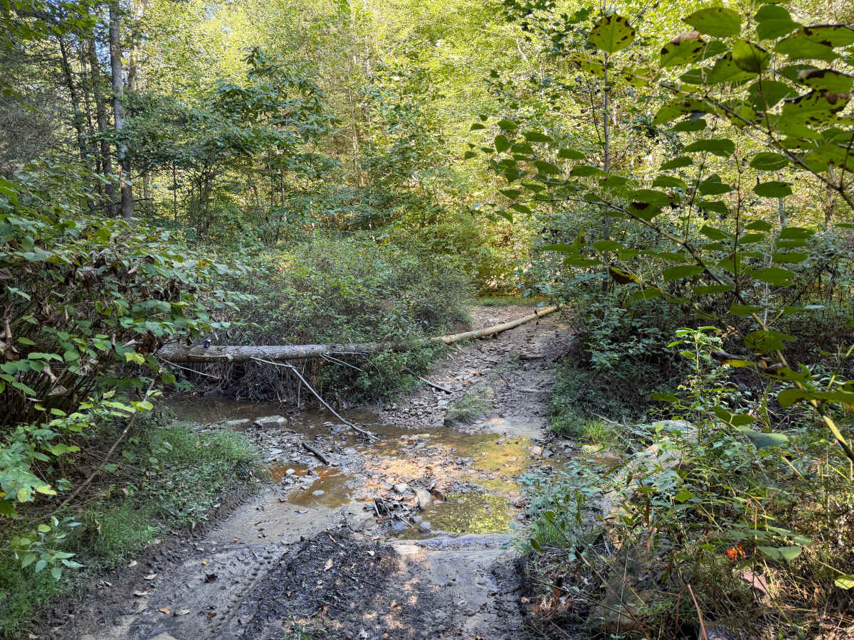 64 photo 4