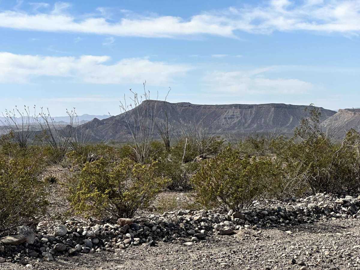 Big Bend Ranch State Park Entrance photo 4
