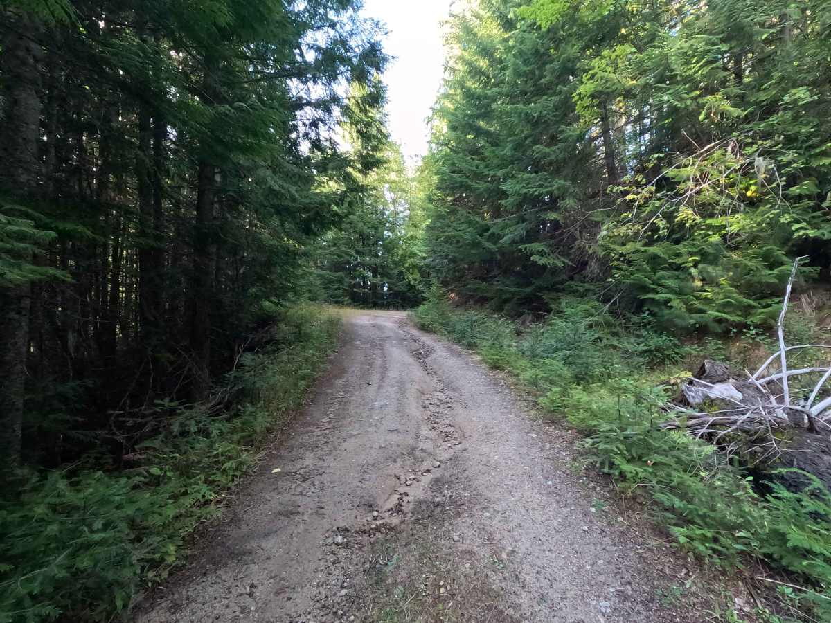 Ole Creek - FS 1092 photo 6