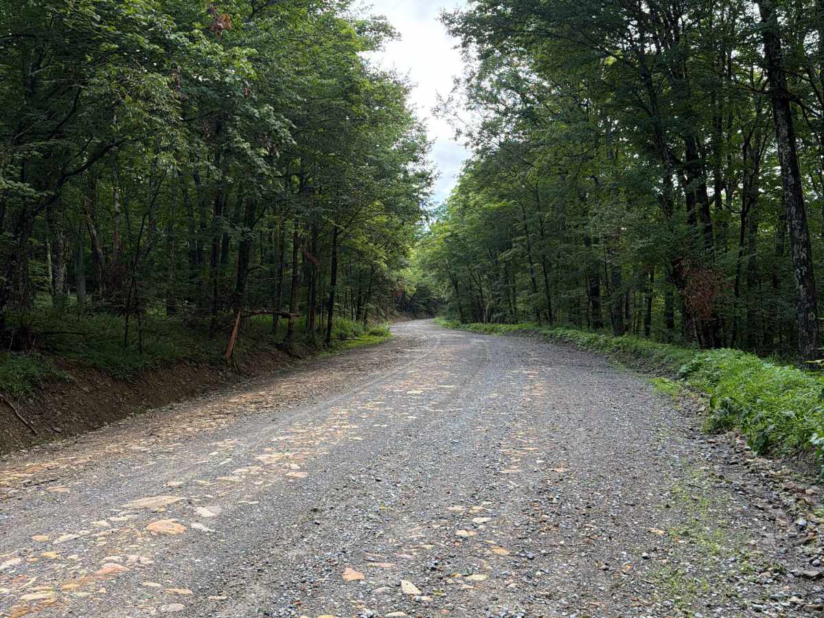 Brier Knob Road photo 5