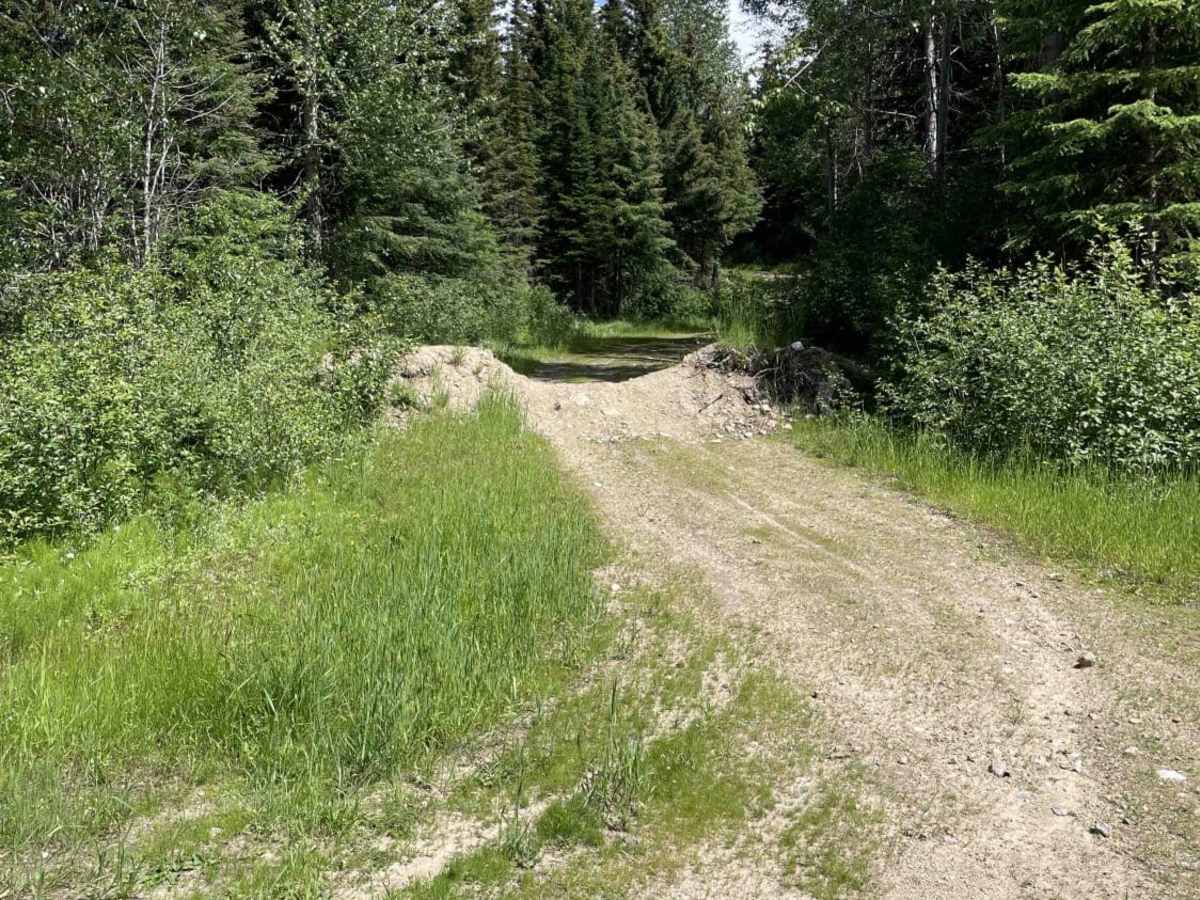 Grizzly FSR to Haddo Lake trail photo