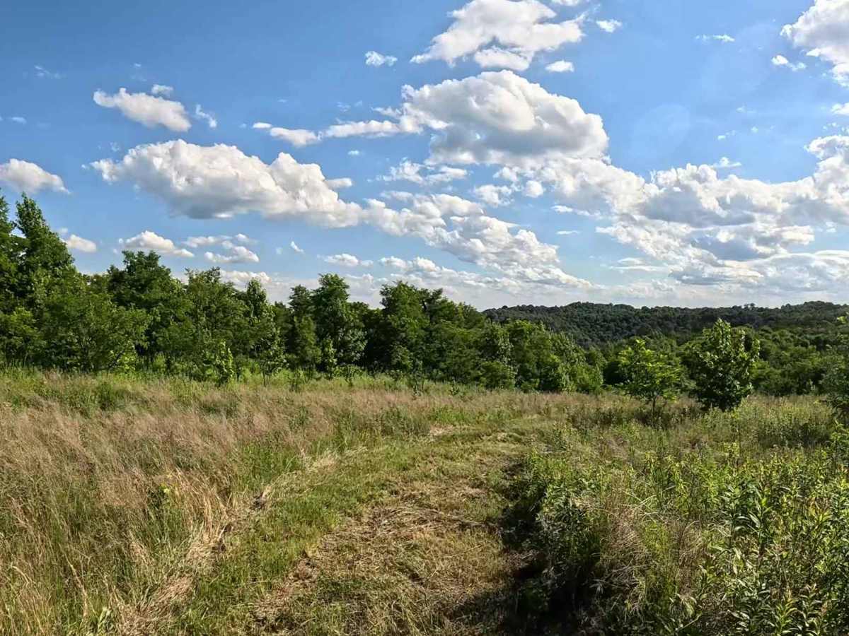 Q47A trail photo