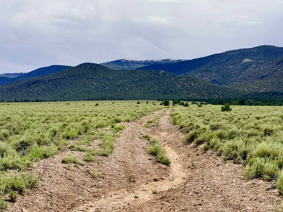 Danville Canyon Cutoff - FS 44467 trail photo