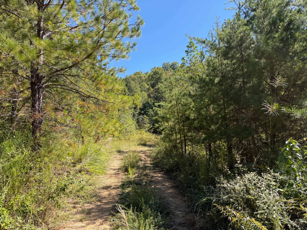 42 trail photo