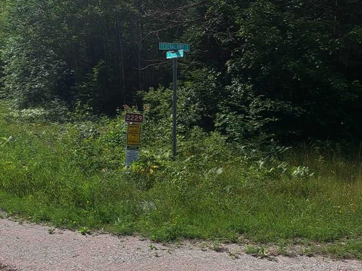 Sturgeon River Road - FSR 2229 photo 3