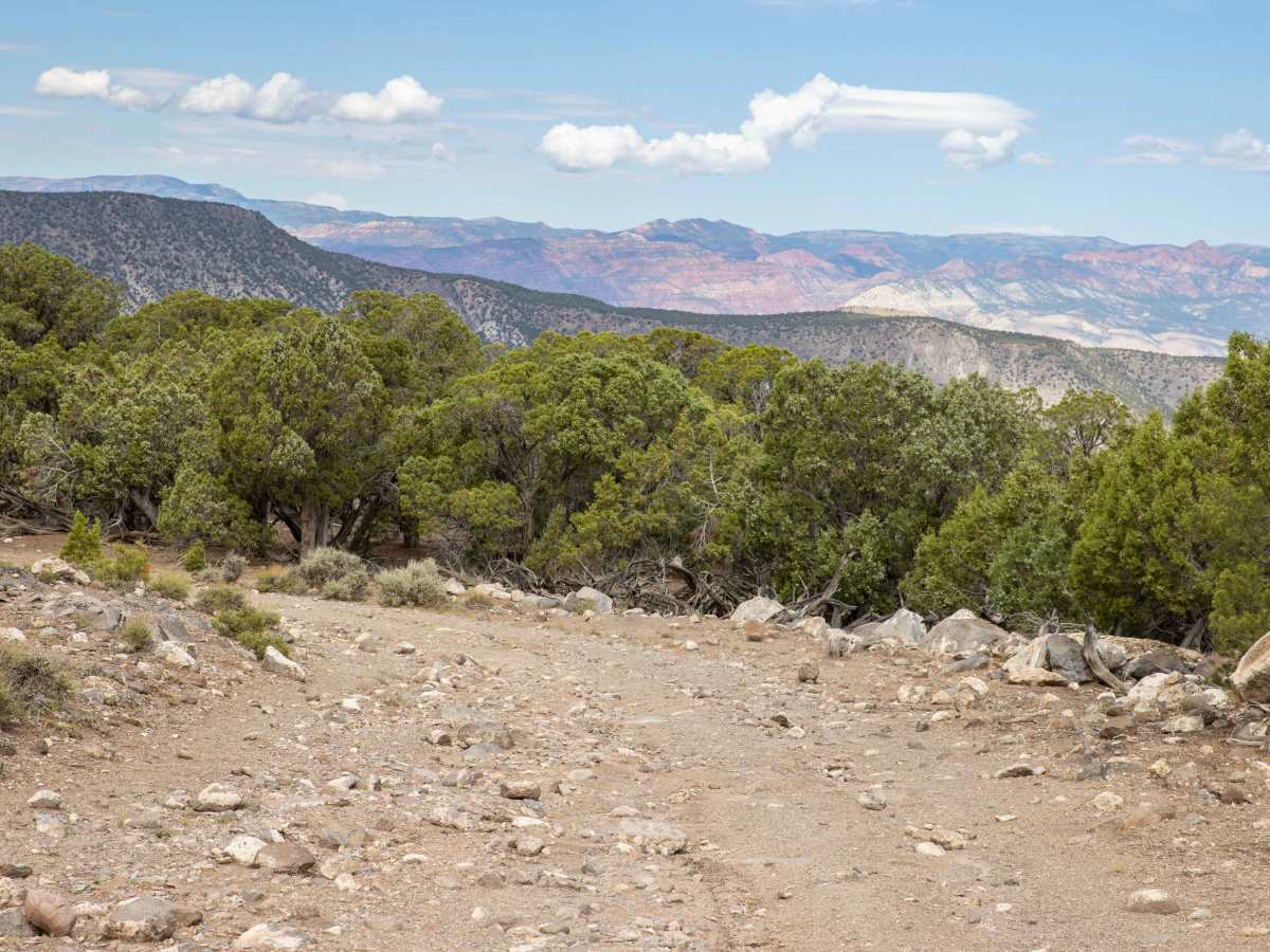 Teah Flat Road photo 6