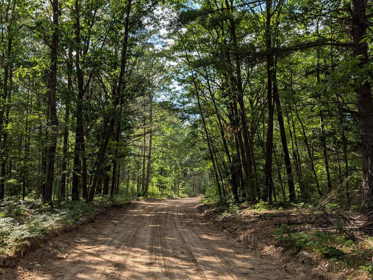 Walker Road photo 4